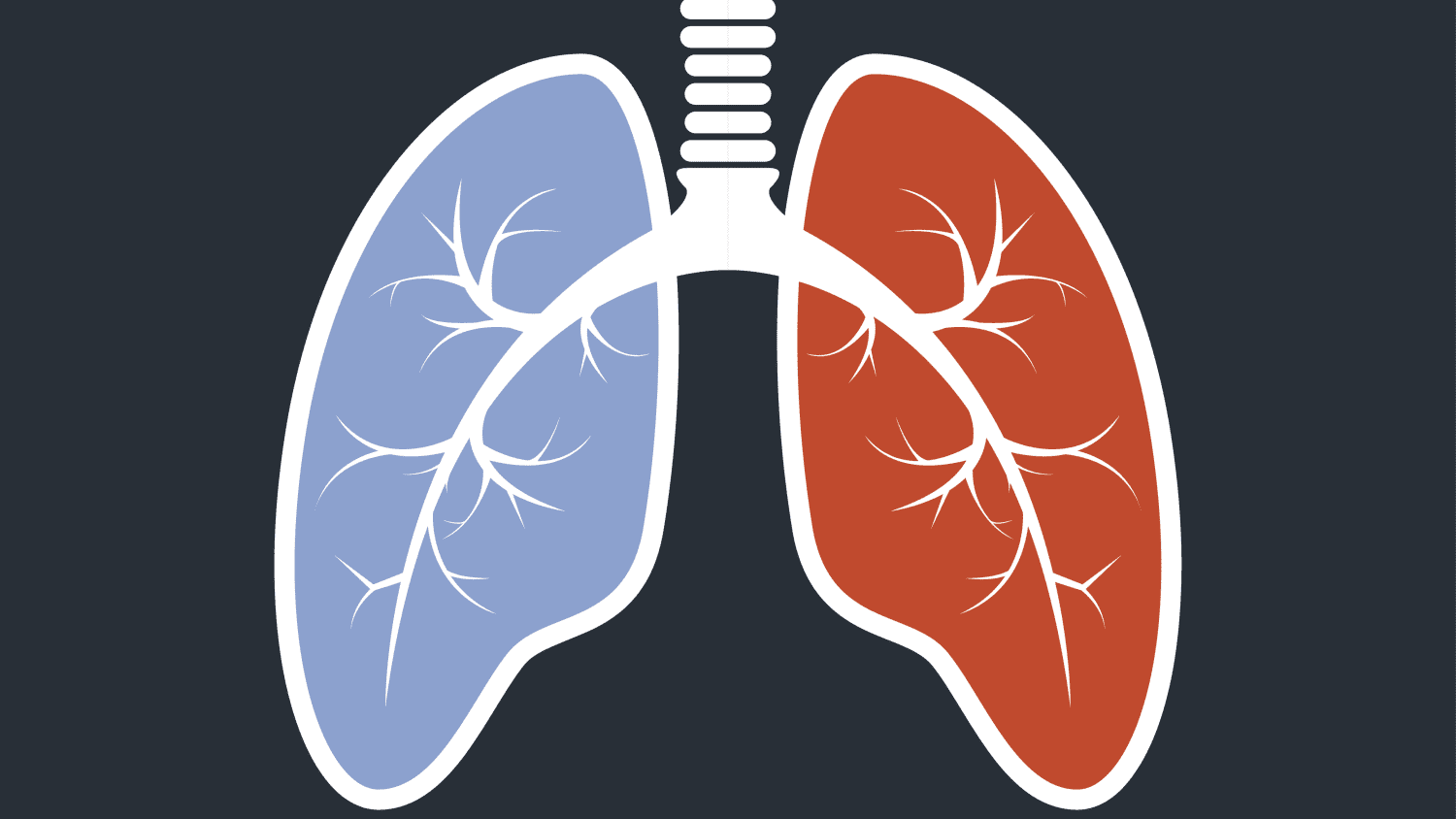 What if the Diagnosis Is Pulmonary Hypertension News Yale
