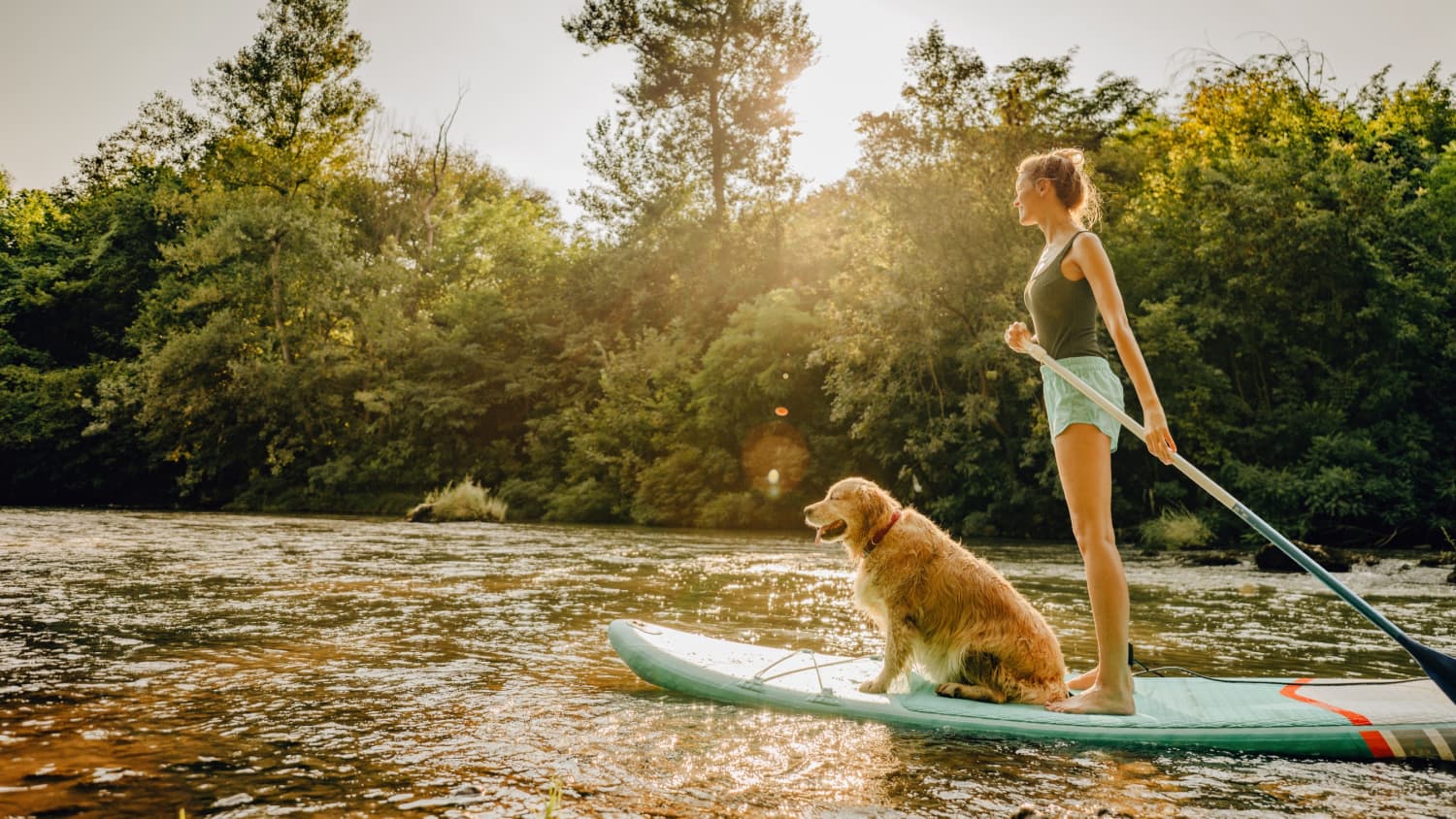 How To Be More Resilient: 8 Strategies for Difficult Times | News | Yale  Medicine