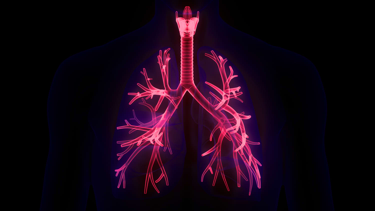 Robotic Bronchoscopy imaging