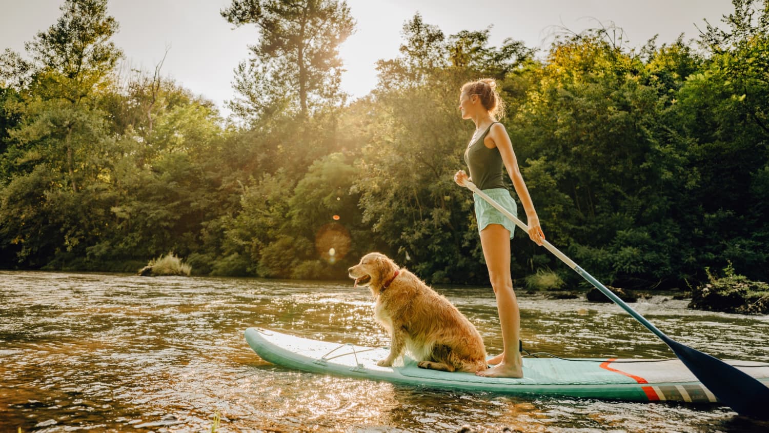 woman and her dog standing on a paddle boat, representing resilience during the COVID-19 pandemic