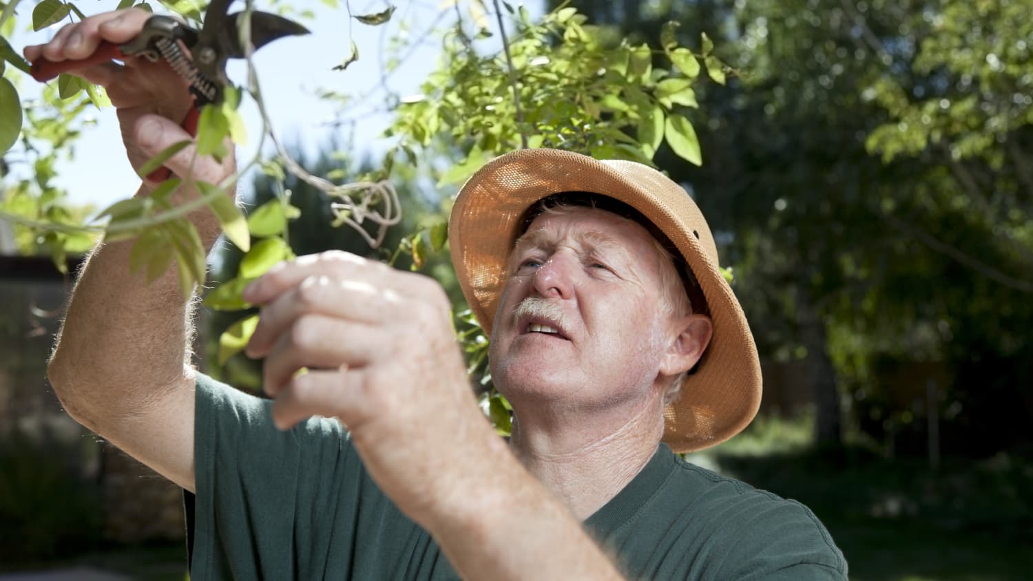a man wears a hat while gardening to protect himself from basal cell carcinoma