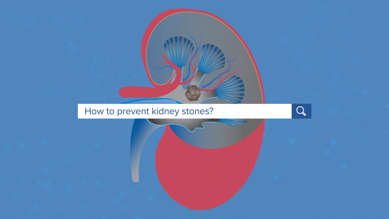 illustration of a kidney
