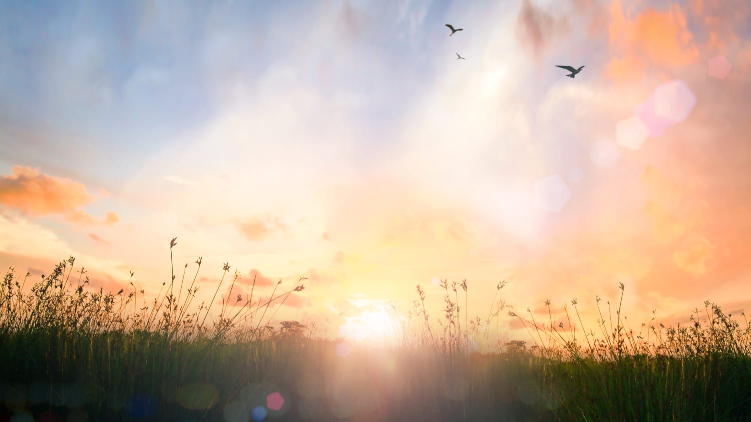 sunny, beautiful sky in a field