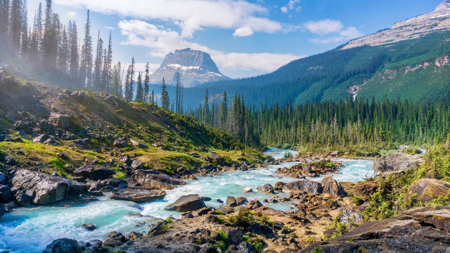 Riverandforrest
