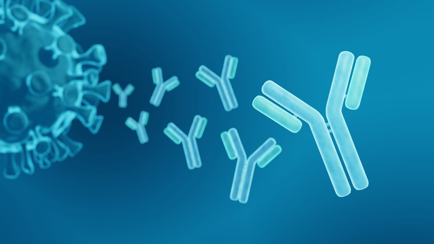 antibodies illustration representing how immunotherapy works against cancer and autoimmune diseases