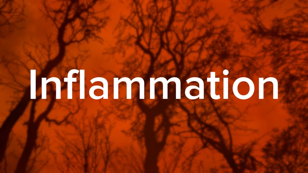 The word "inflammation" in bold white letters over a background of branching blood vessels