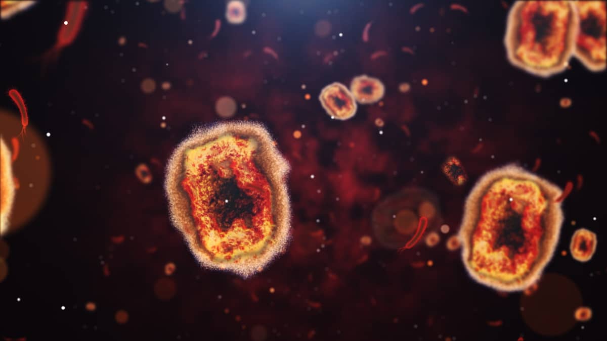 Mpox (Formerly Monkeypox) cells