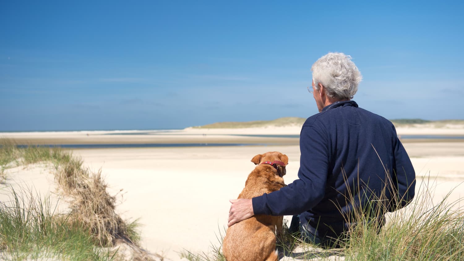 A 60-something year old man, possibly thinking about psoriasis, sits on the beach with his dog.