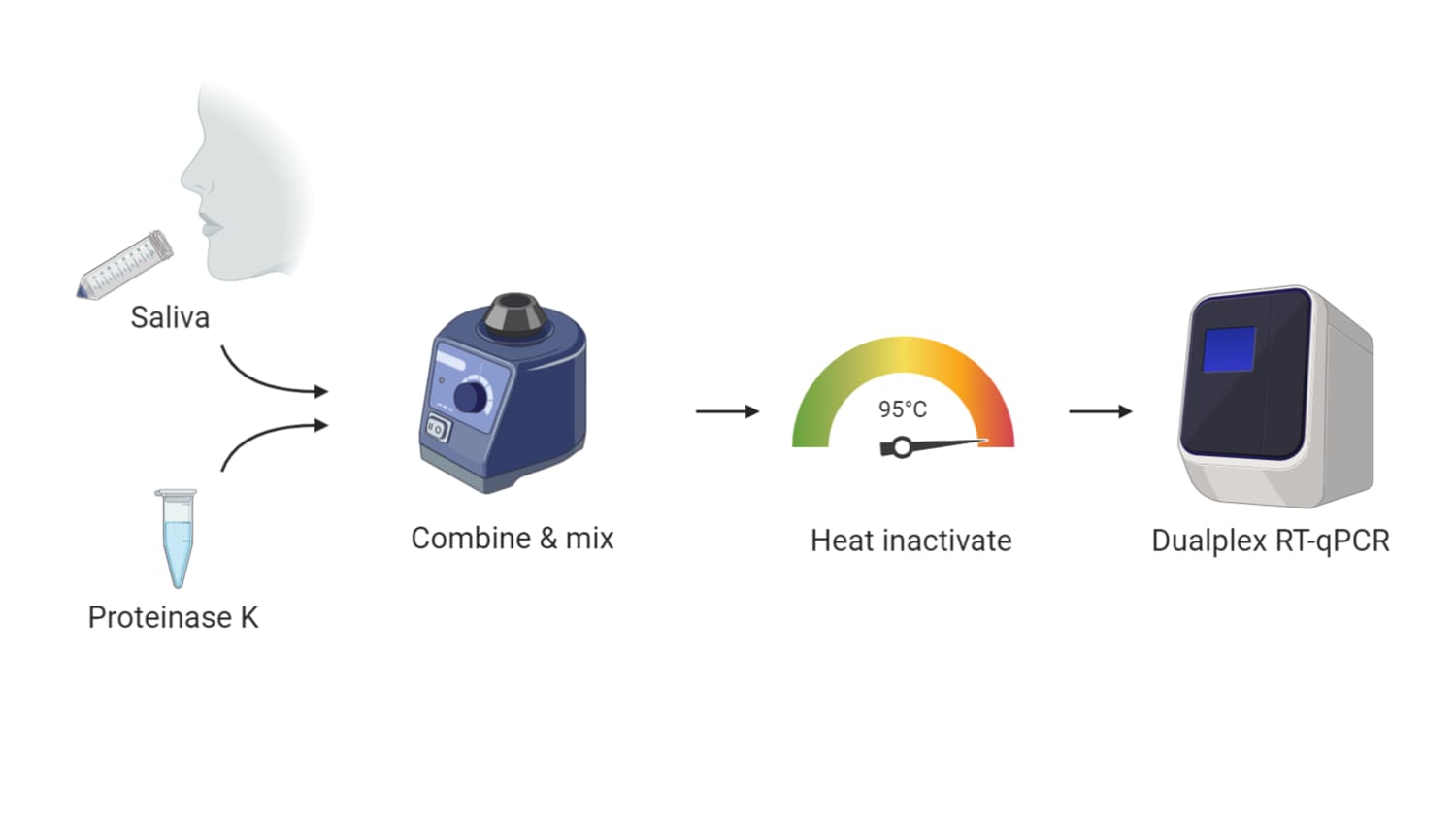 A schematic for SalivaDirect, which makes COVID-19 testing more accessible