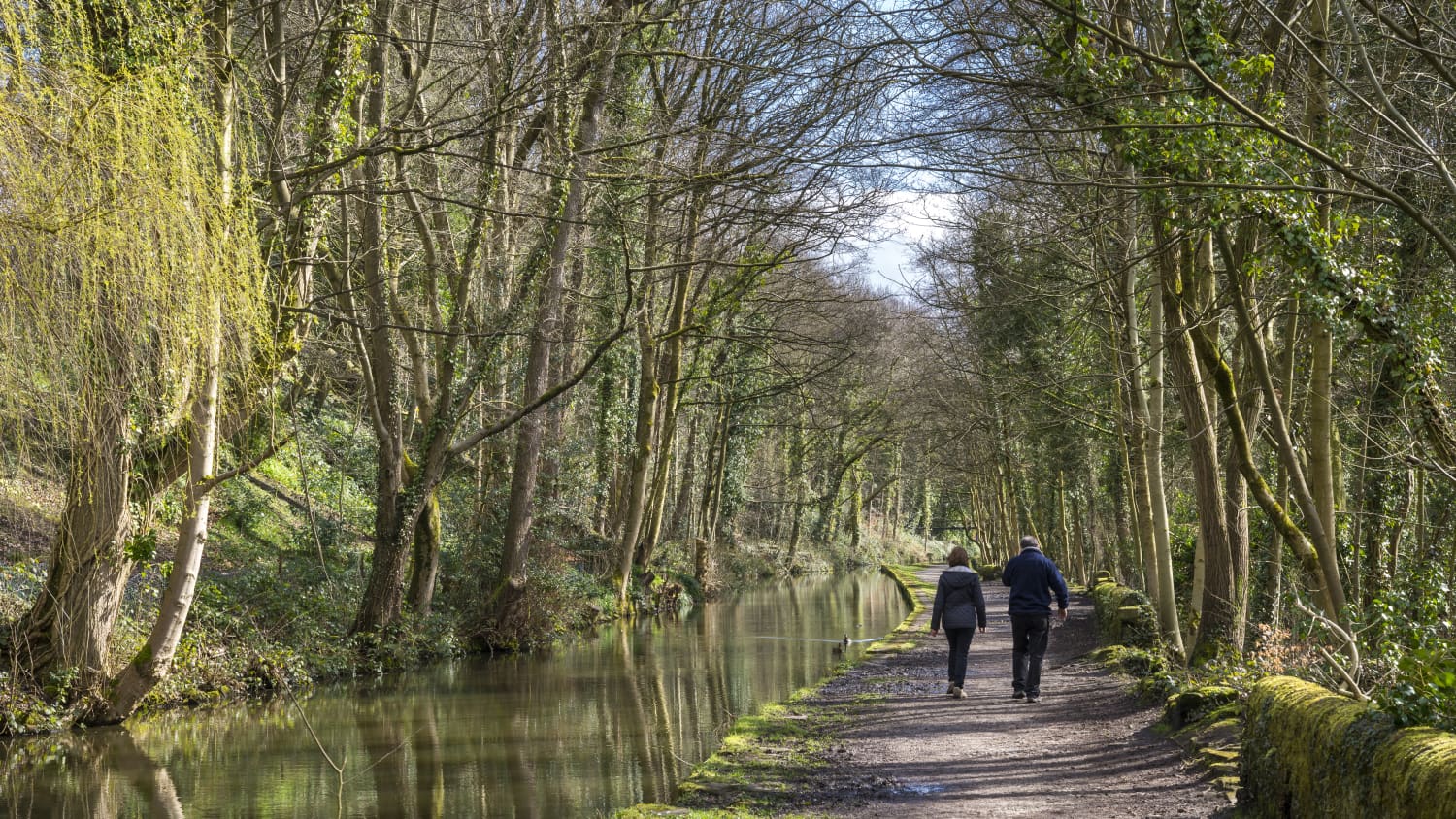 couple walking in the woods as a way to manage stress, which can affect the heart