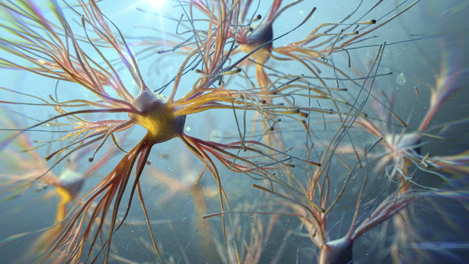 illustration of astrocytes, representing the importance of neuroimmunology