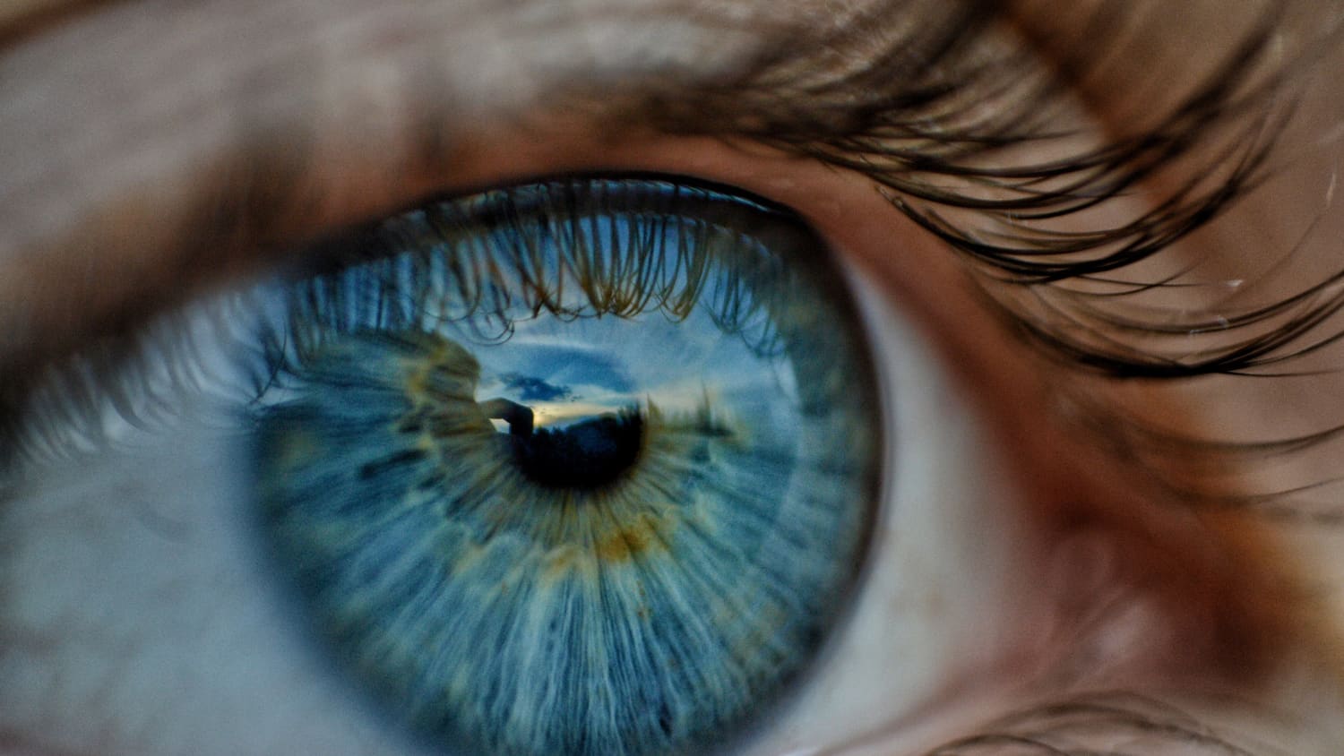 Blue Eye Iris