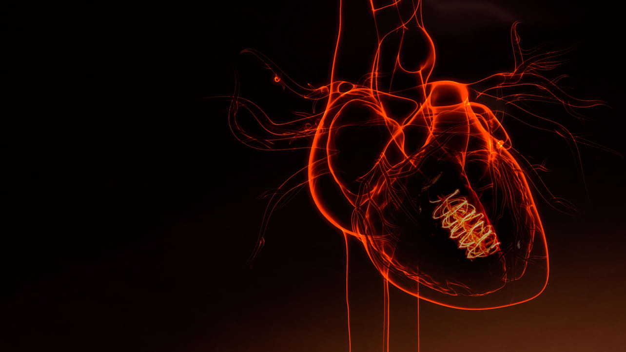 An illustration of a heart with a light bulb flickering in it.