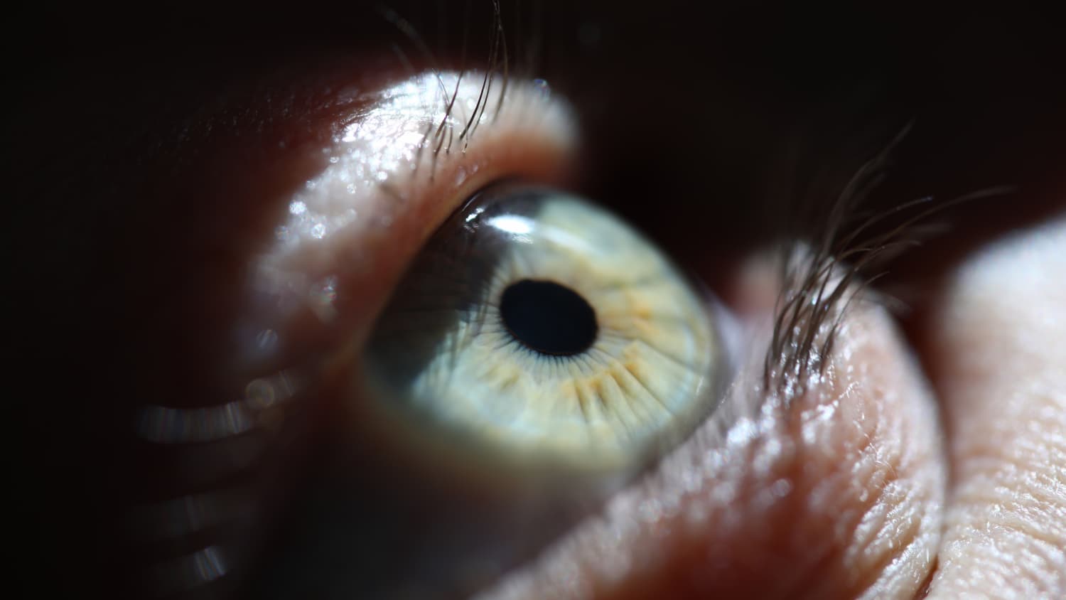 Green Eye Looking at Light