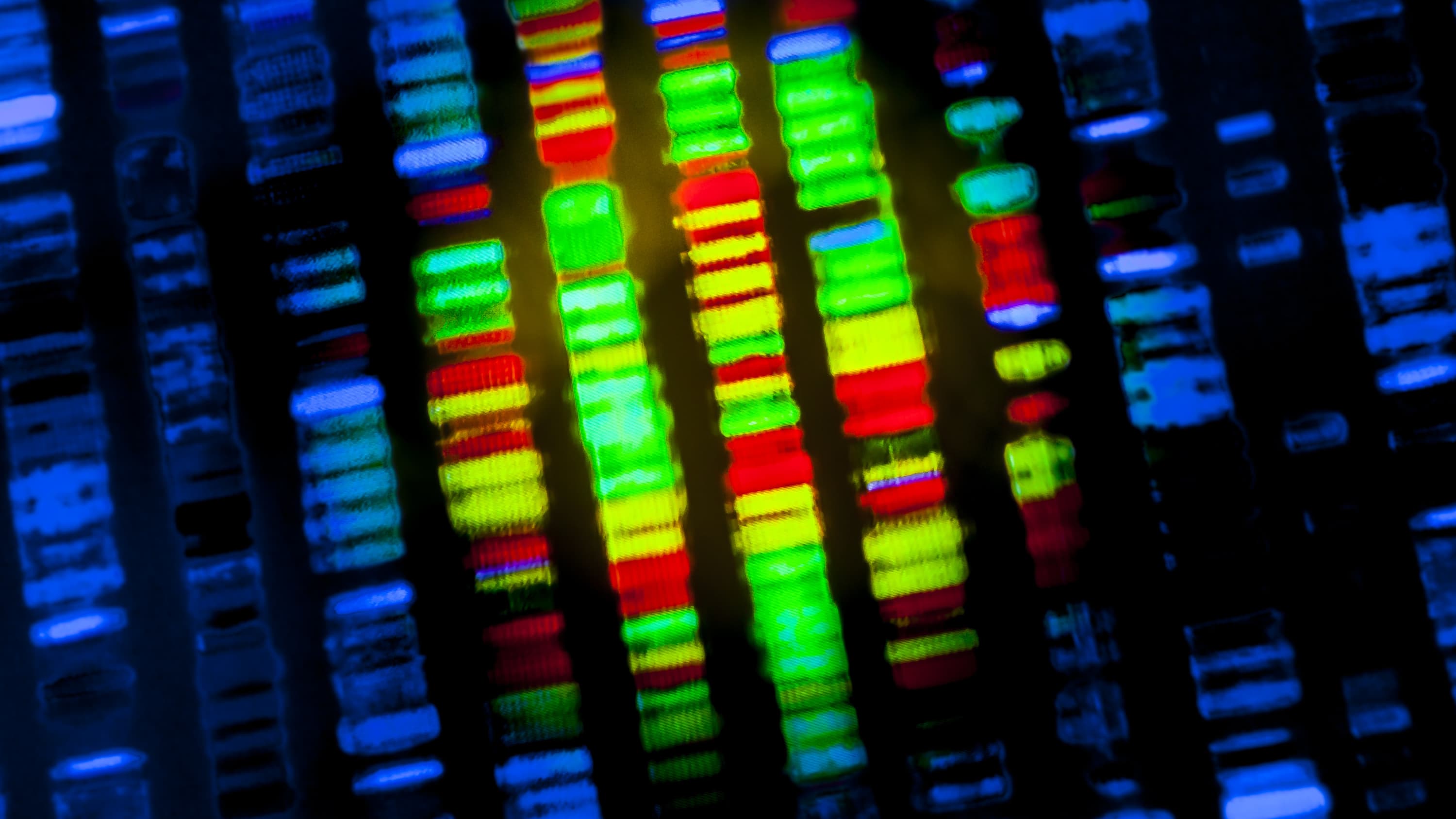 A colorful sequence of DNA shows up on a dark background
