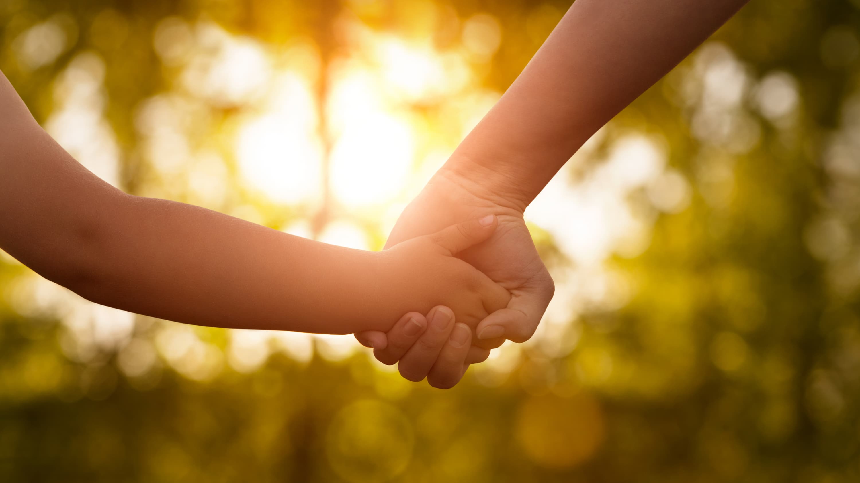 A child and a parent hold hands.