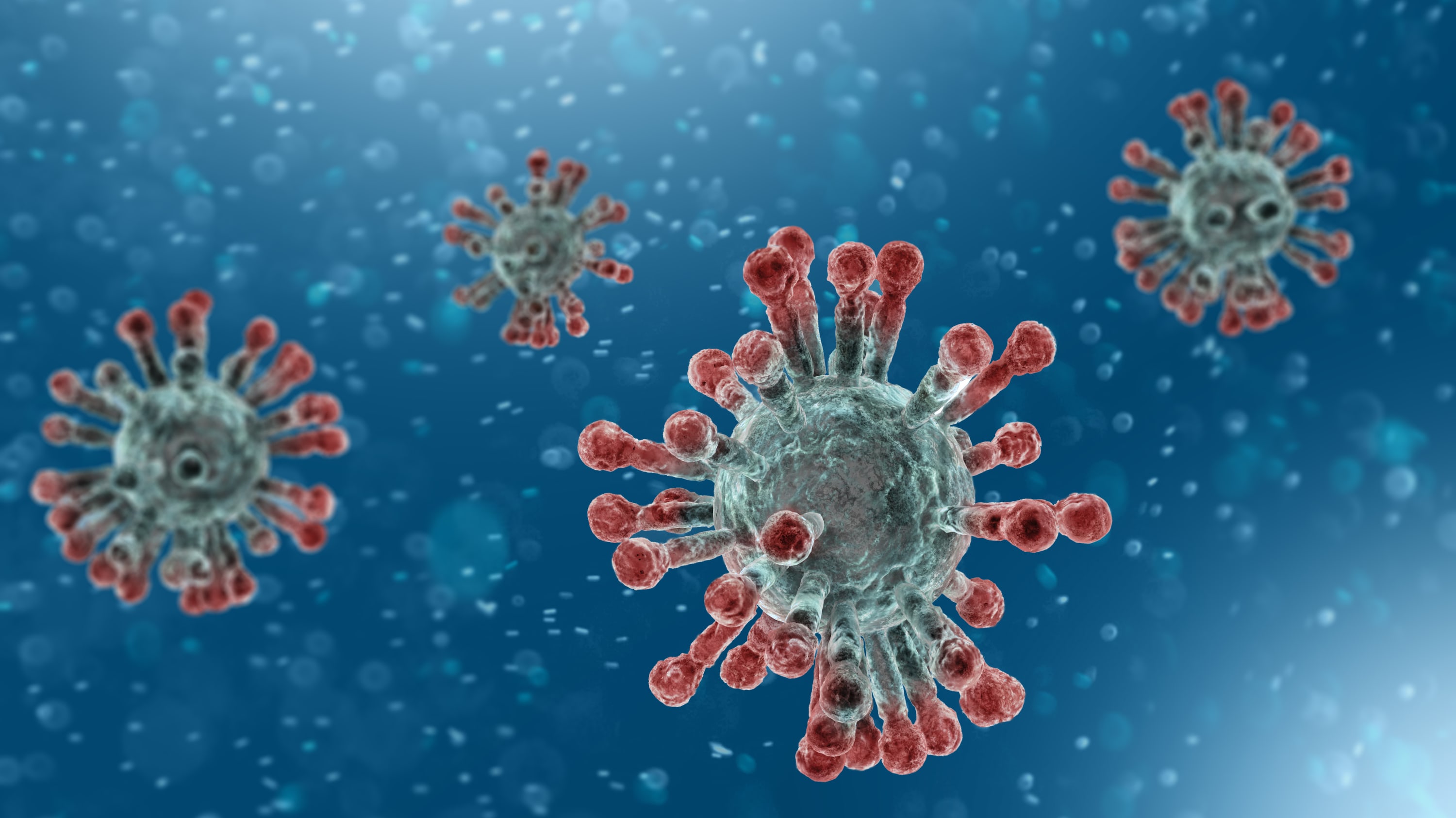 Microscopic view of Coronavirus, similar to the one causing COVID-19