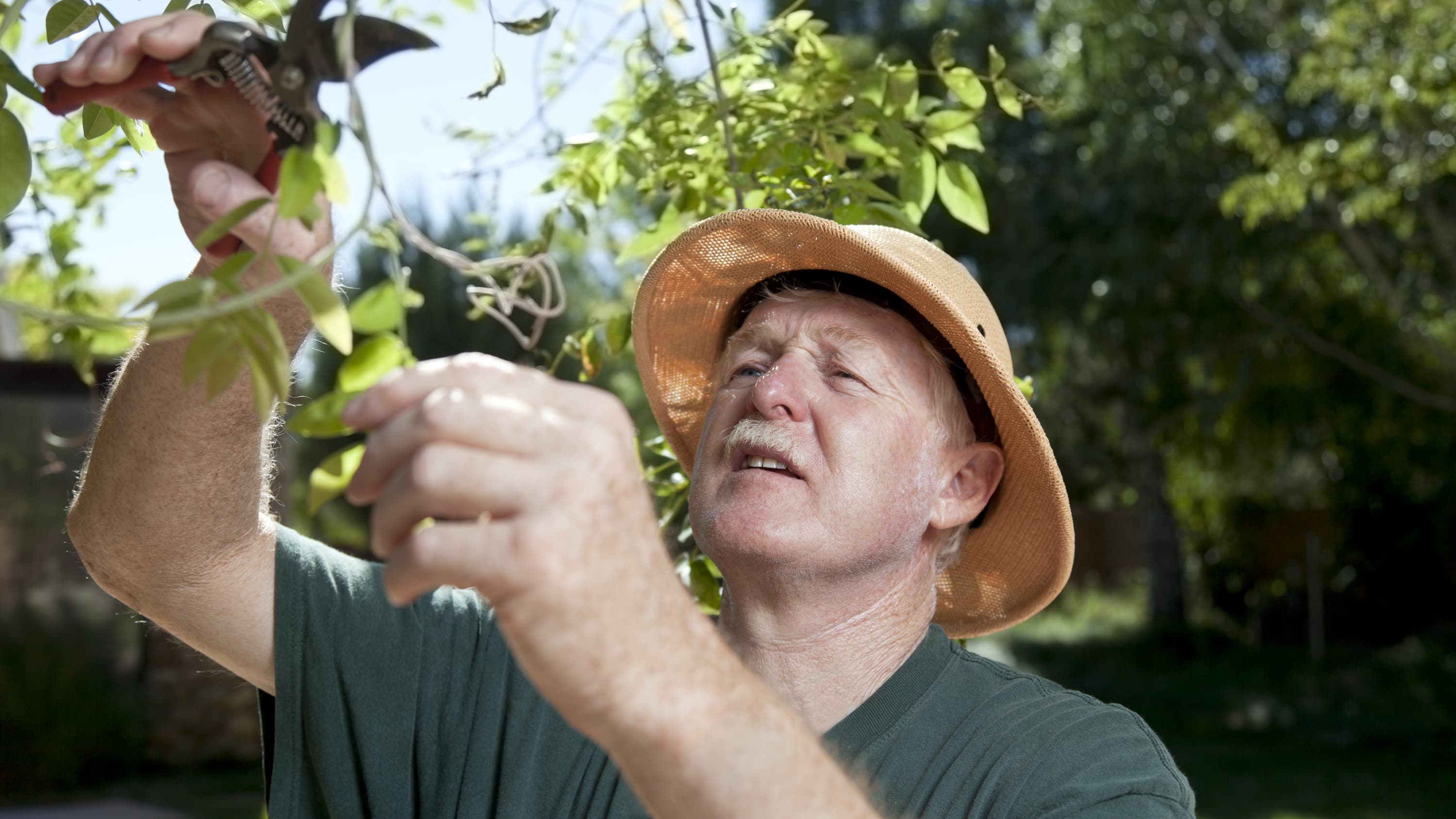 a man wears a hat while gardening to protect himself from basal cell carcinoma