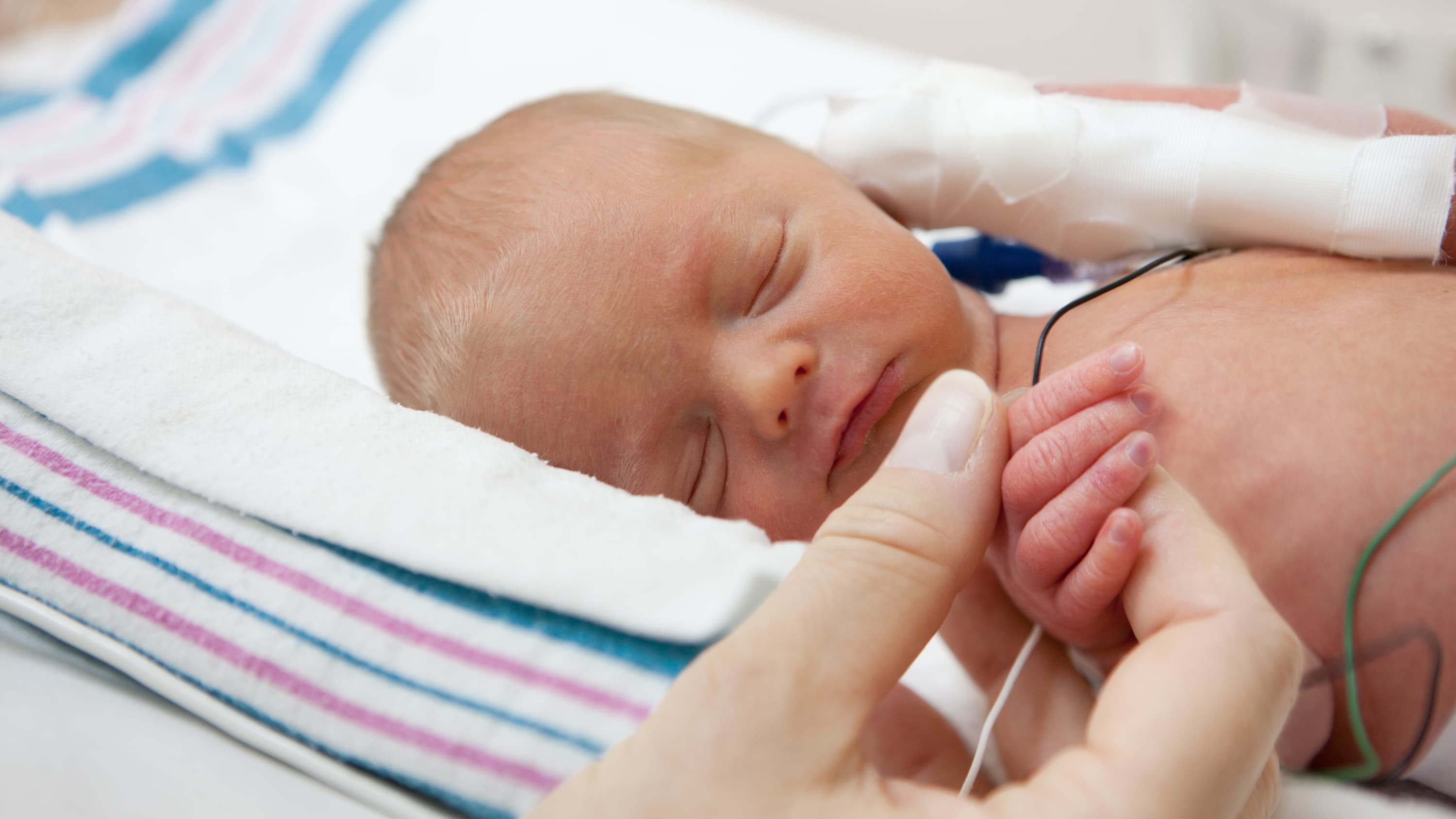 A caregiver holds a newborn's hand in the NICU--preventing infections in the NICU is an important concern