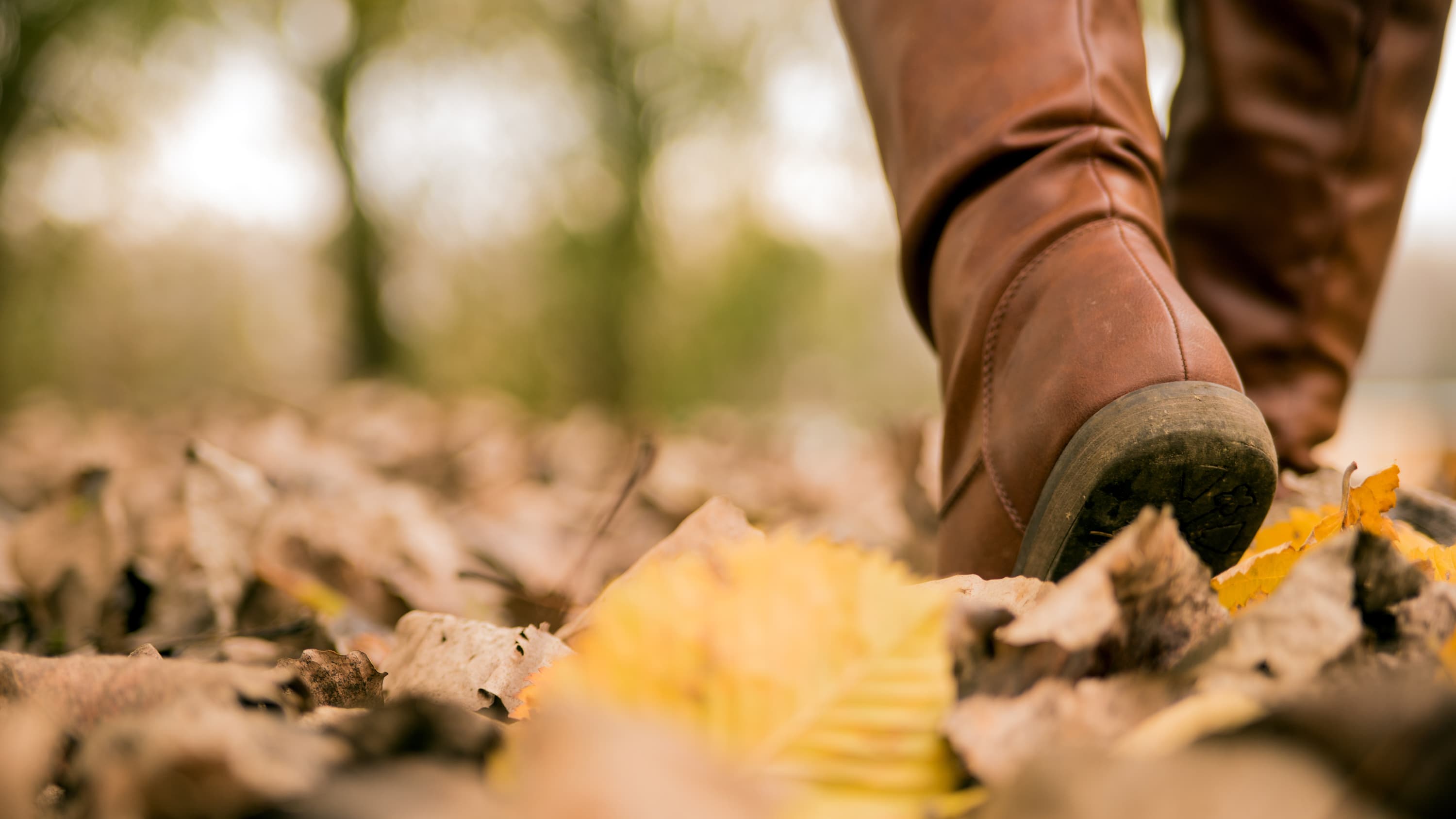 A woman's brown boot in leaves where it's possible to pick up a tick that may carry Lyme disease.