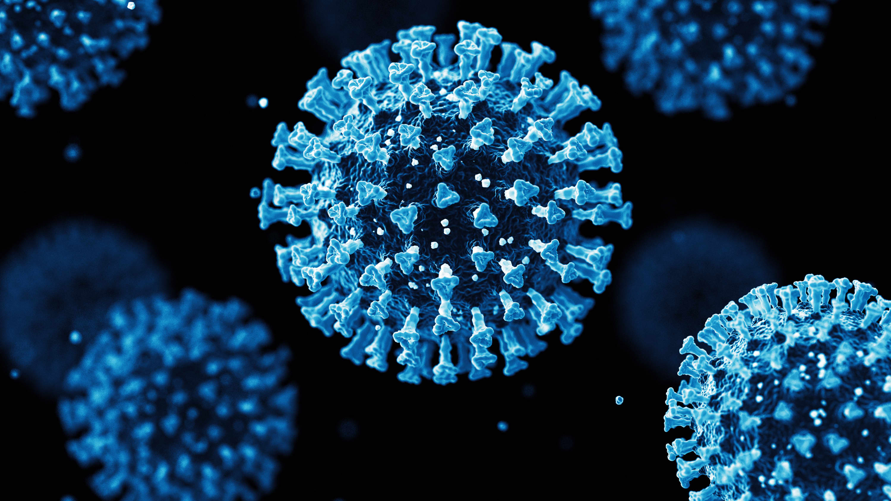 coronavirus illustration, showing subvariant EG.5, which causes COVID-19