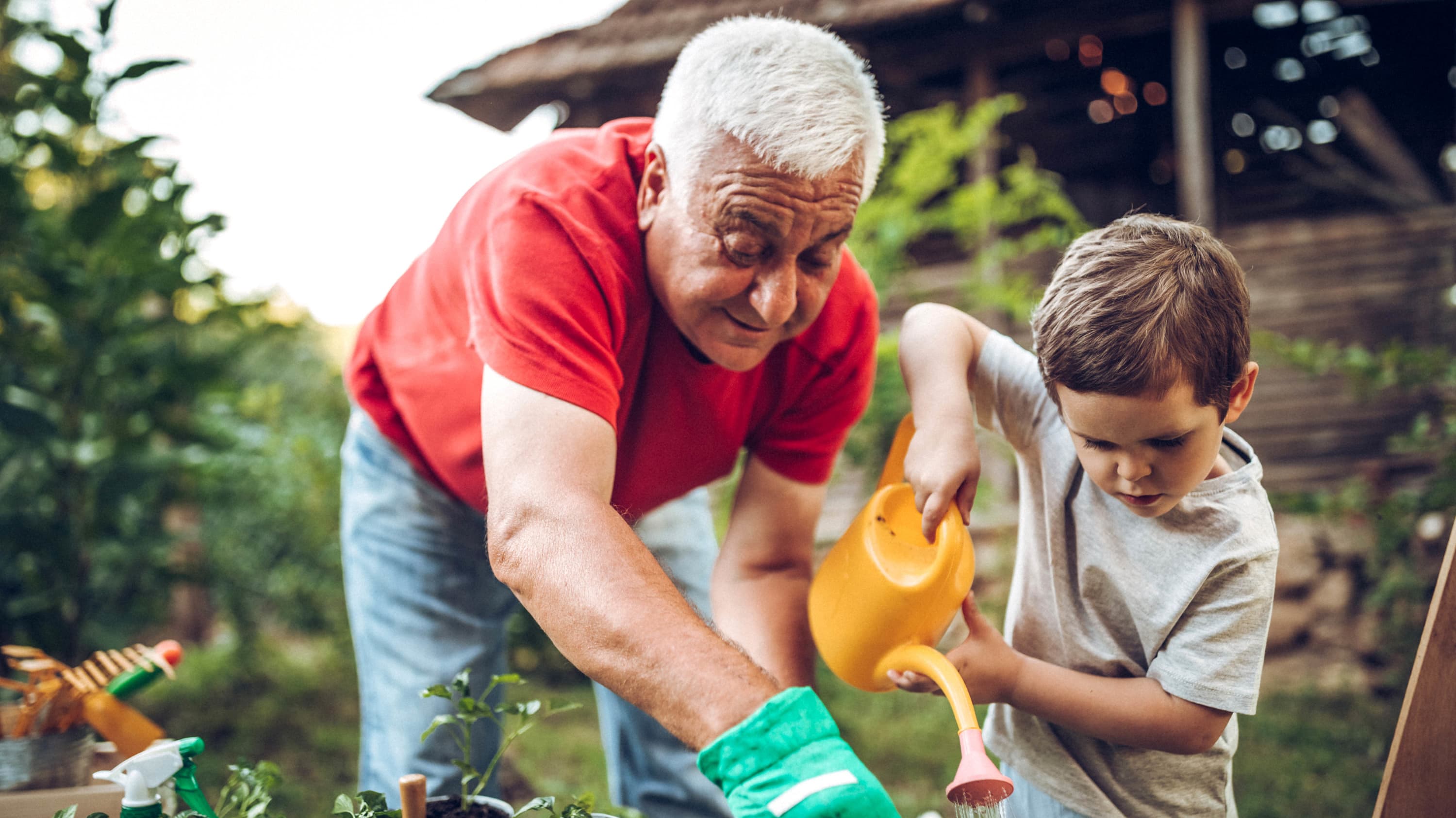 Grandfather with a VAD tends the garden with his grandson.