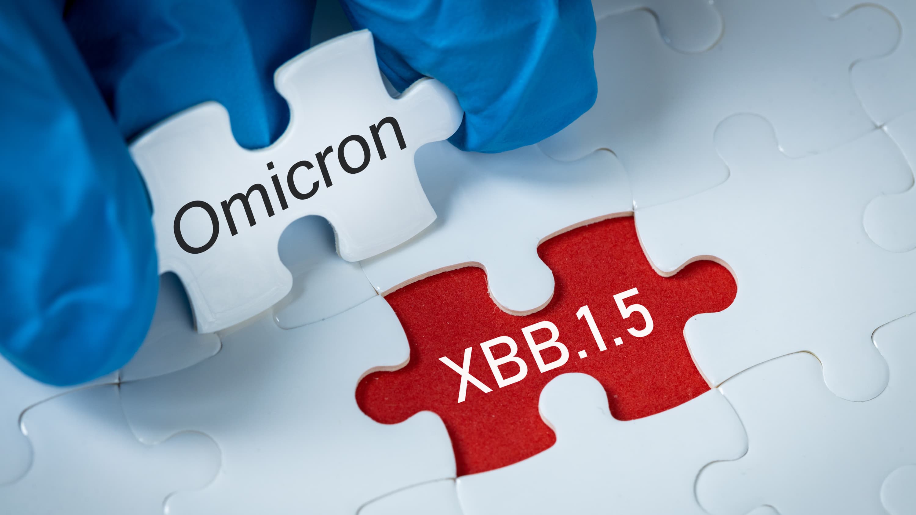 Omicron XBB.1.5 'Kraken' Subvariant Is on the Rise: What To Know > News ...