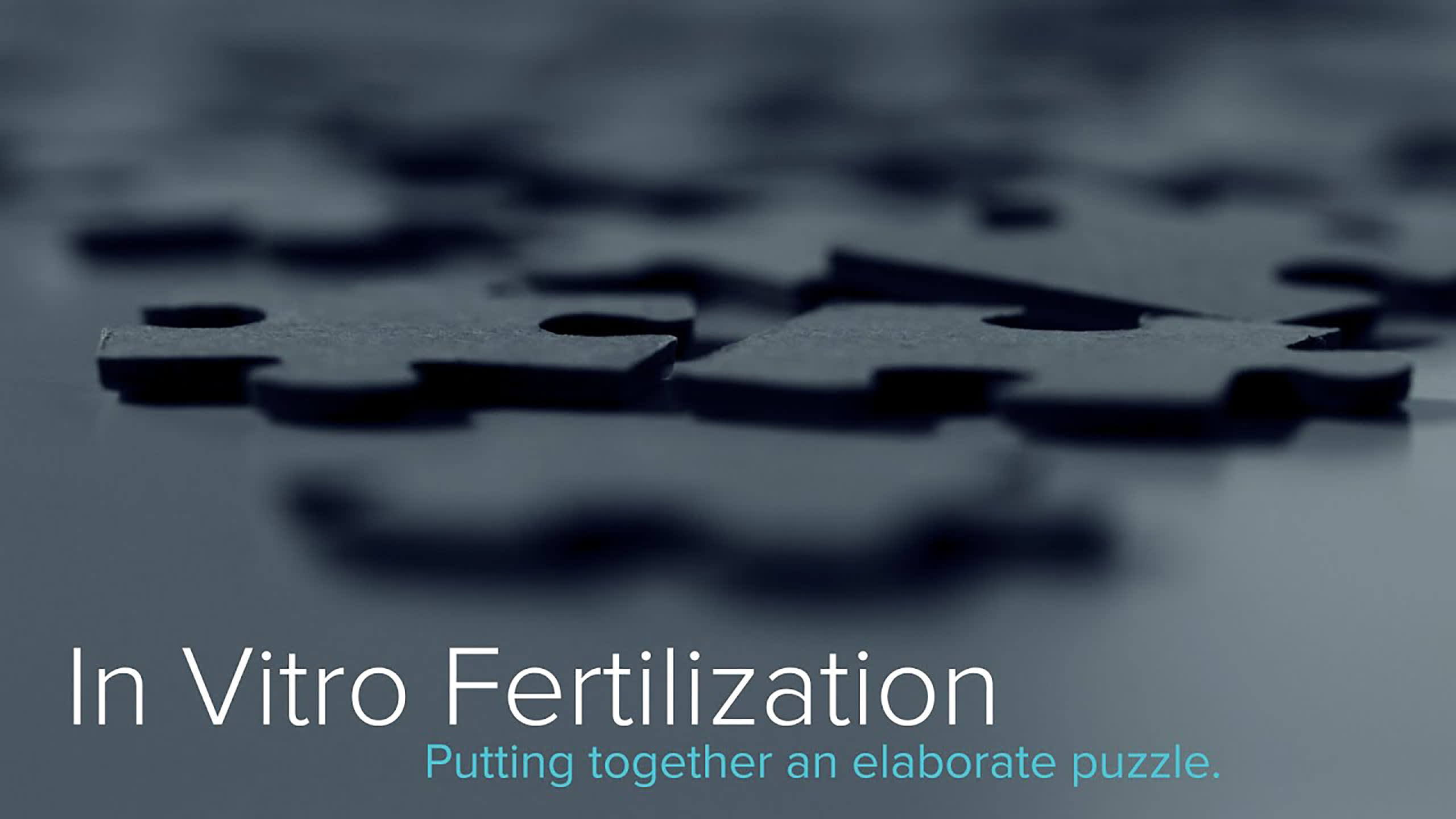 Puzzle pieces in background with title in foreground that reads "In Vitro Fertilization - Putting together an elaborate puzzle"
