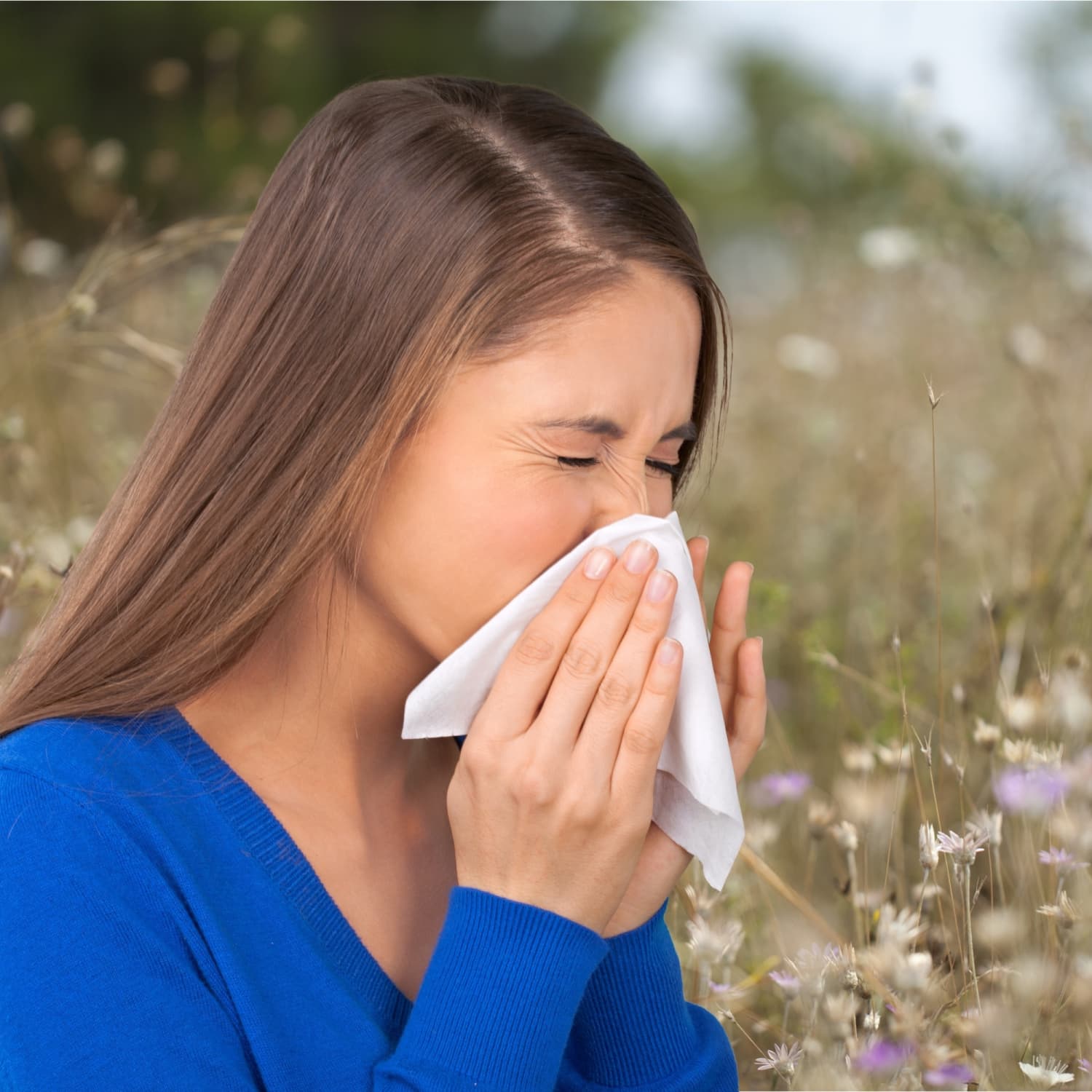 Where is all that pollen coming from?