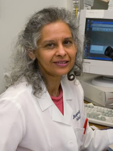 Marguerite Pinto