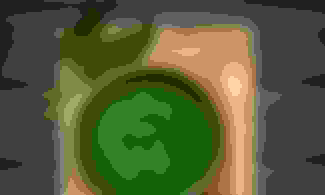Cream of Spinach Soup