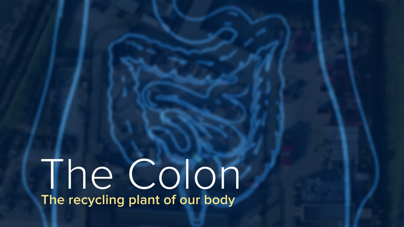 Why Colon Cancer Happens.00_00_04_18.Still002