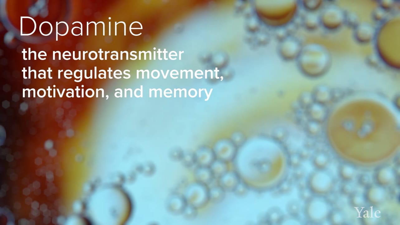 Text reading "Dopamine - the neurotransmitter that regulates movement, motivation, and memory" on a background image of oil drops