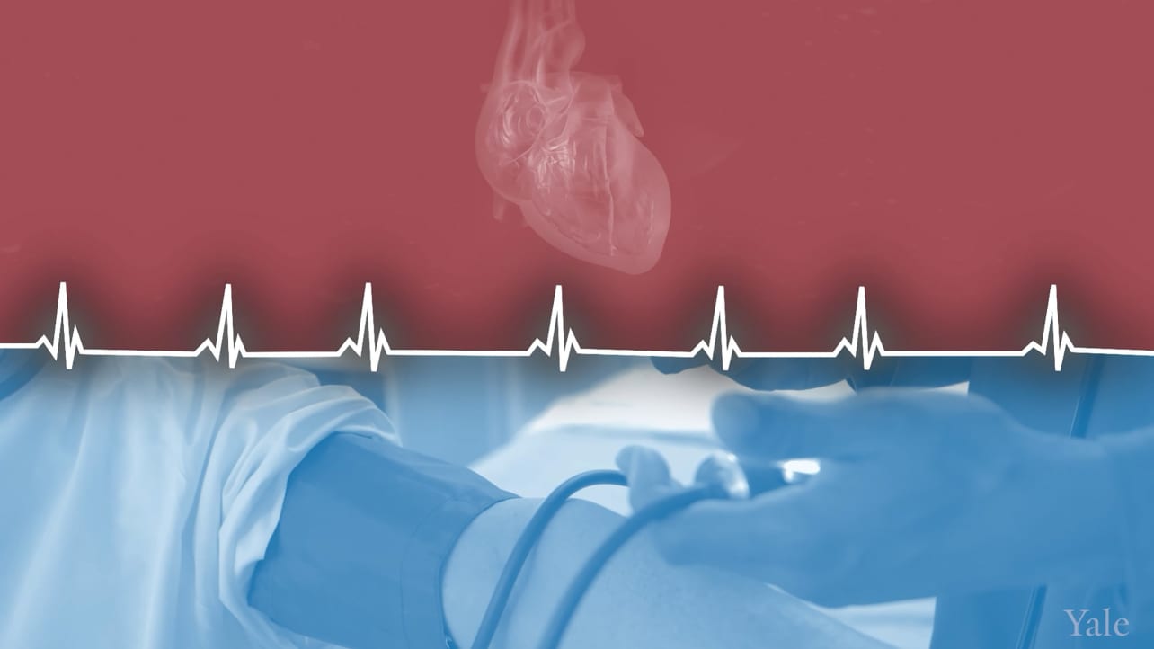 Graphic of human heart and blood pressure cuff