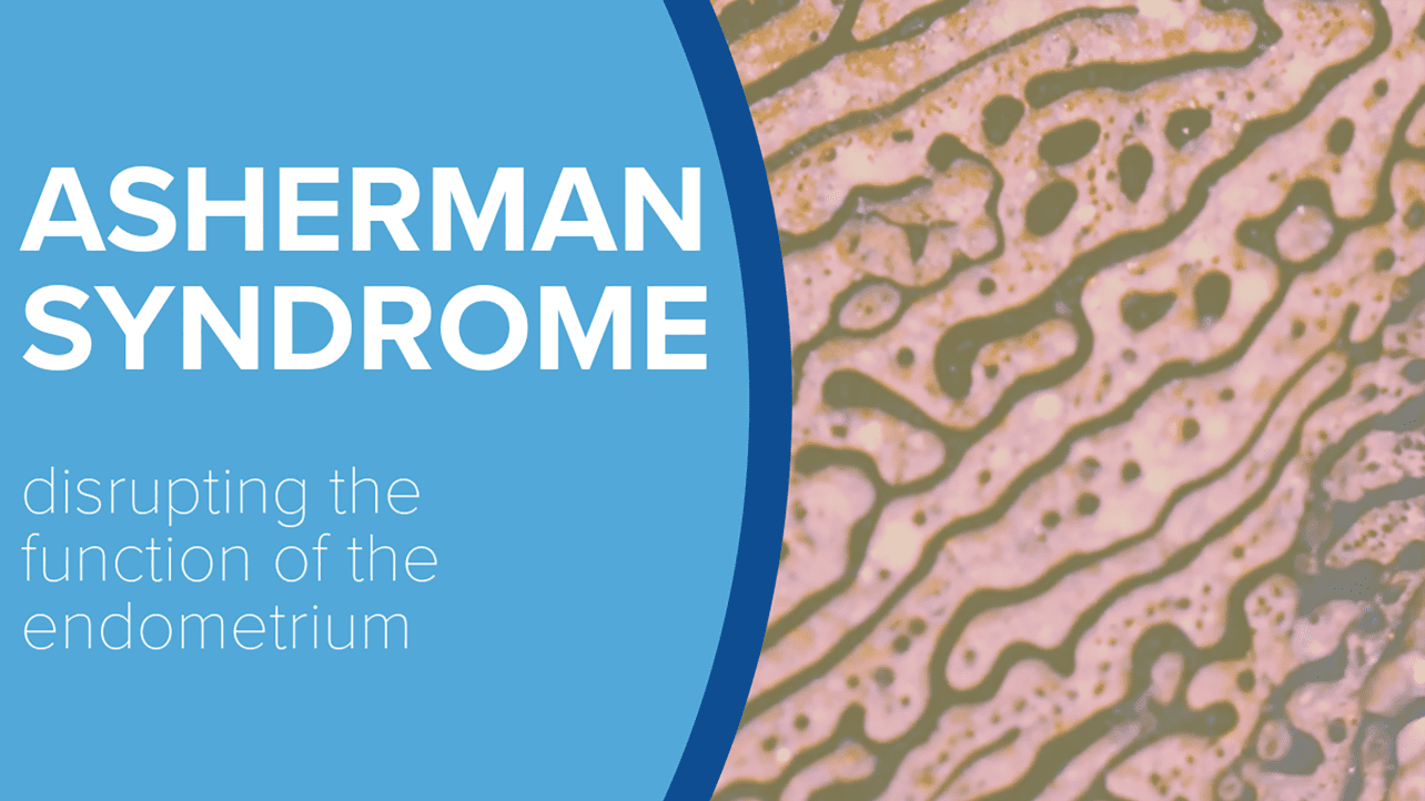 Abstract photo representing a macroscopic image of biological cells or tissues