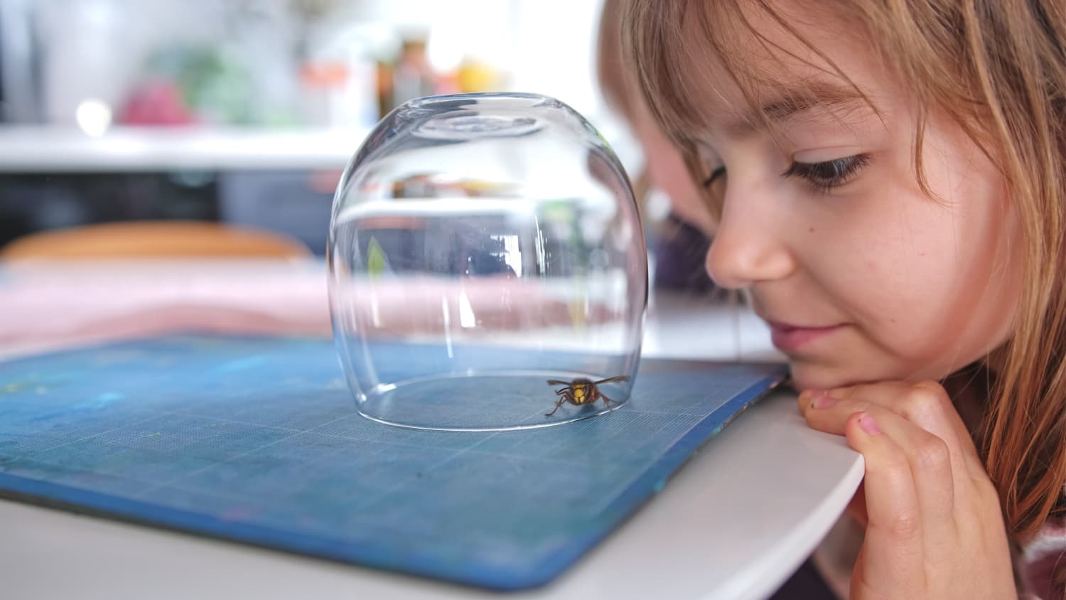 kid looking at a bee, preparing to use neffy for anaphylaxis