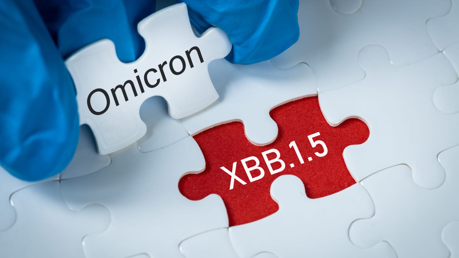 Omicron XBB1.5 puzzle pieces