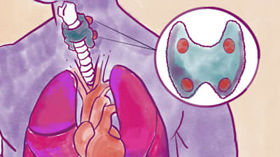 New Obesity Drugs Target Tolerability Over Weight Loss - Image 2