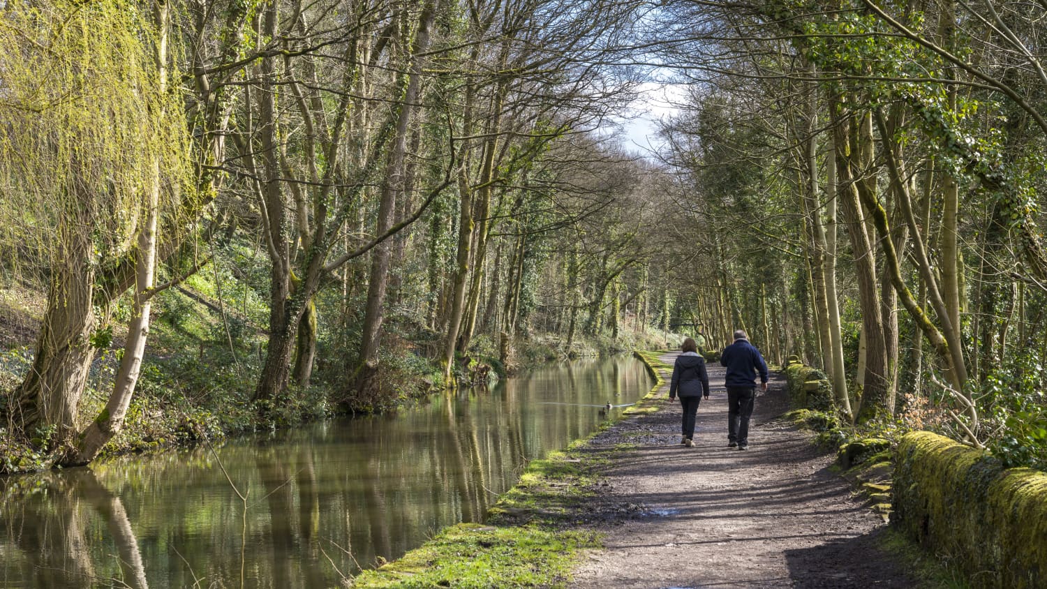 couple walking in the woods as a way to manage stress, which can affect the heart