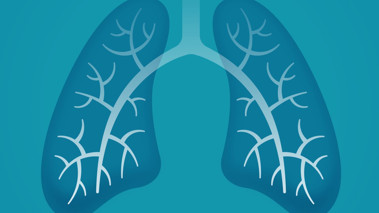 illustration of lungs, highlighting the need for lung cancer screening