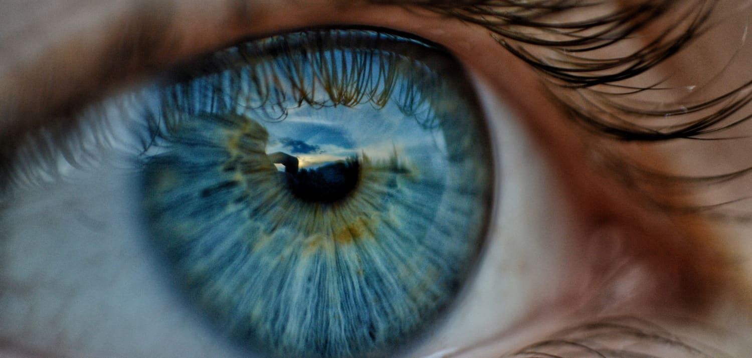 Blue Eye Iris