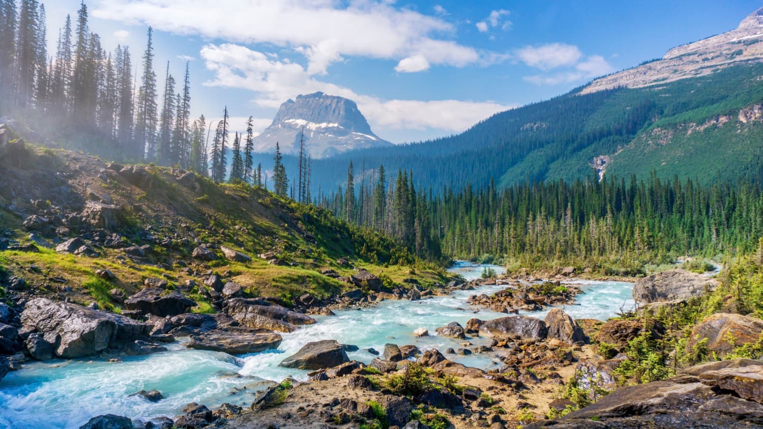 Riverandforrest