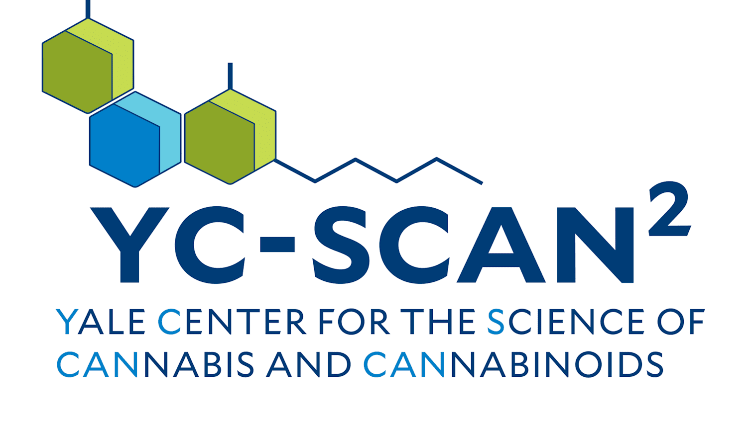 YCSCAN2 LOGO 2
