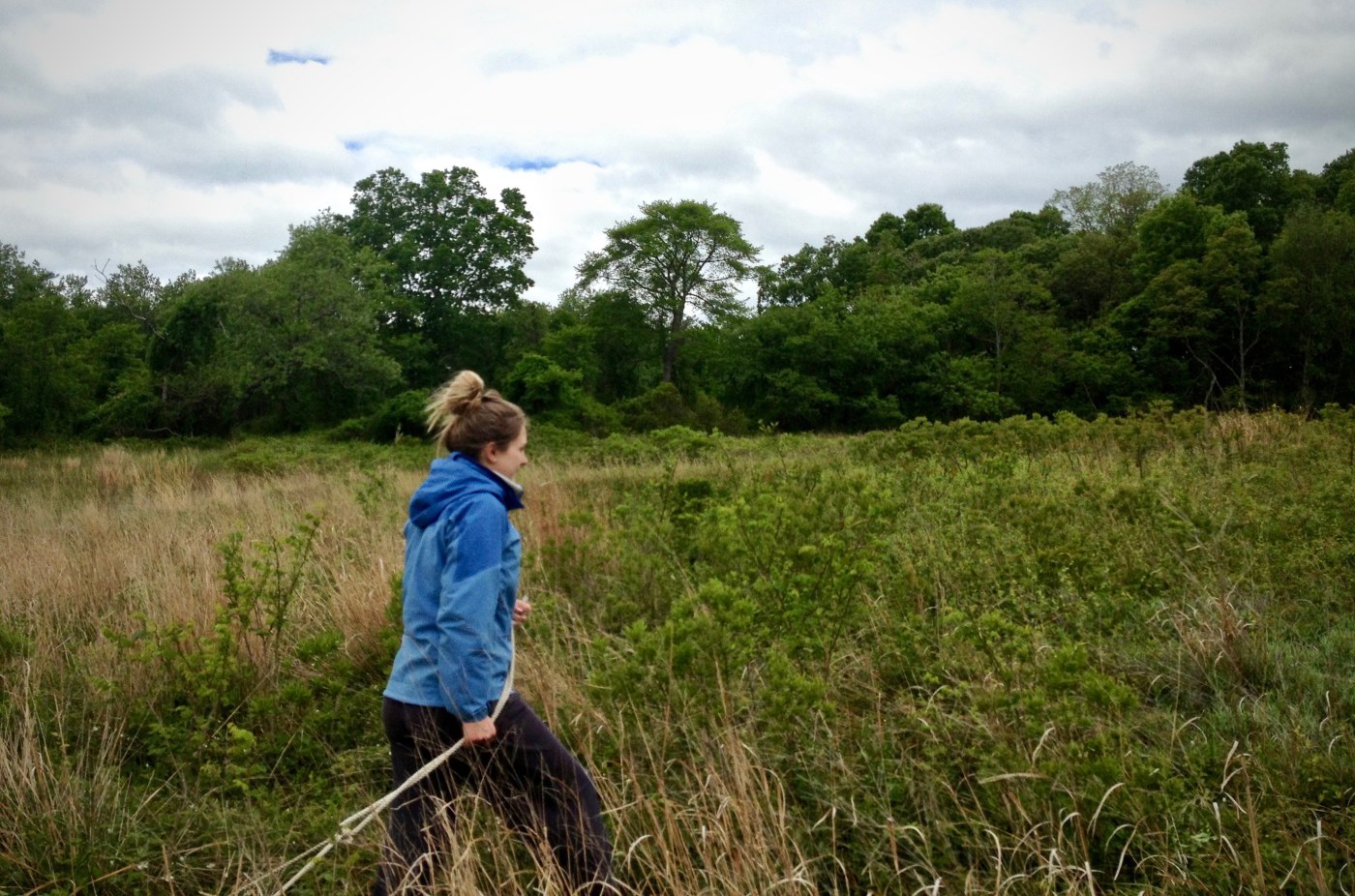 Ancient History of Lyme Disease in North America Revealed with