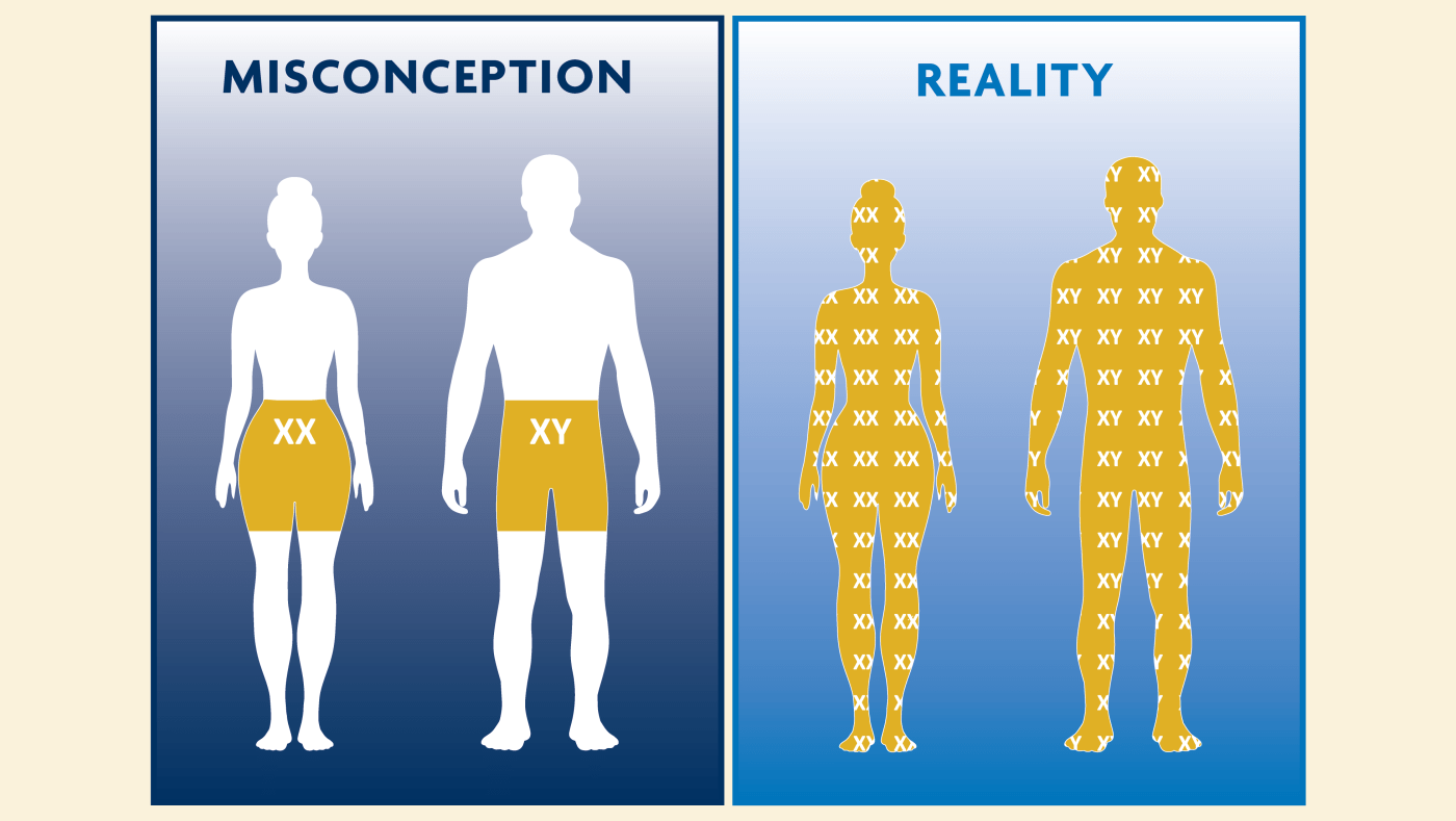 Every Cell Has a Sex X and Y and the Future of Health Care