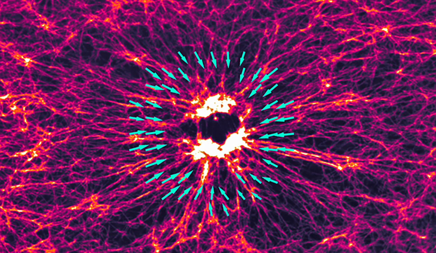 Research sheds light (literally) on cellular forces