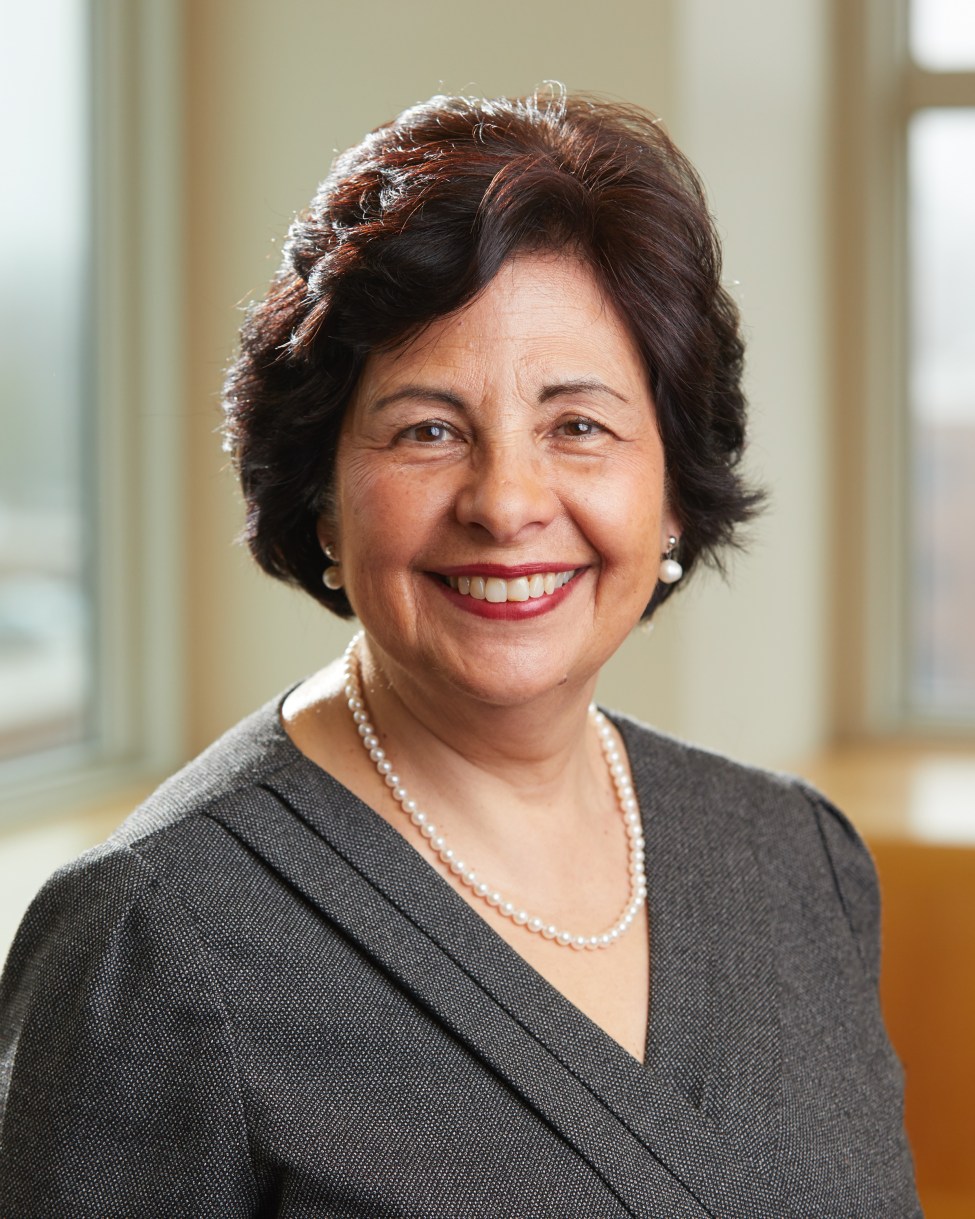 Dissertation vs thesis picture