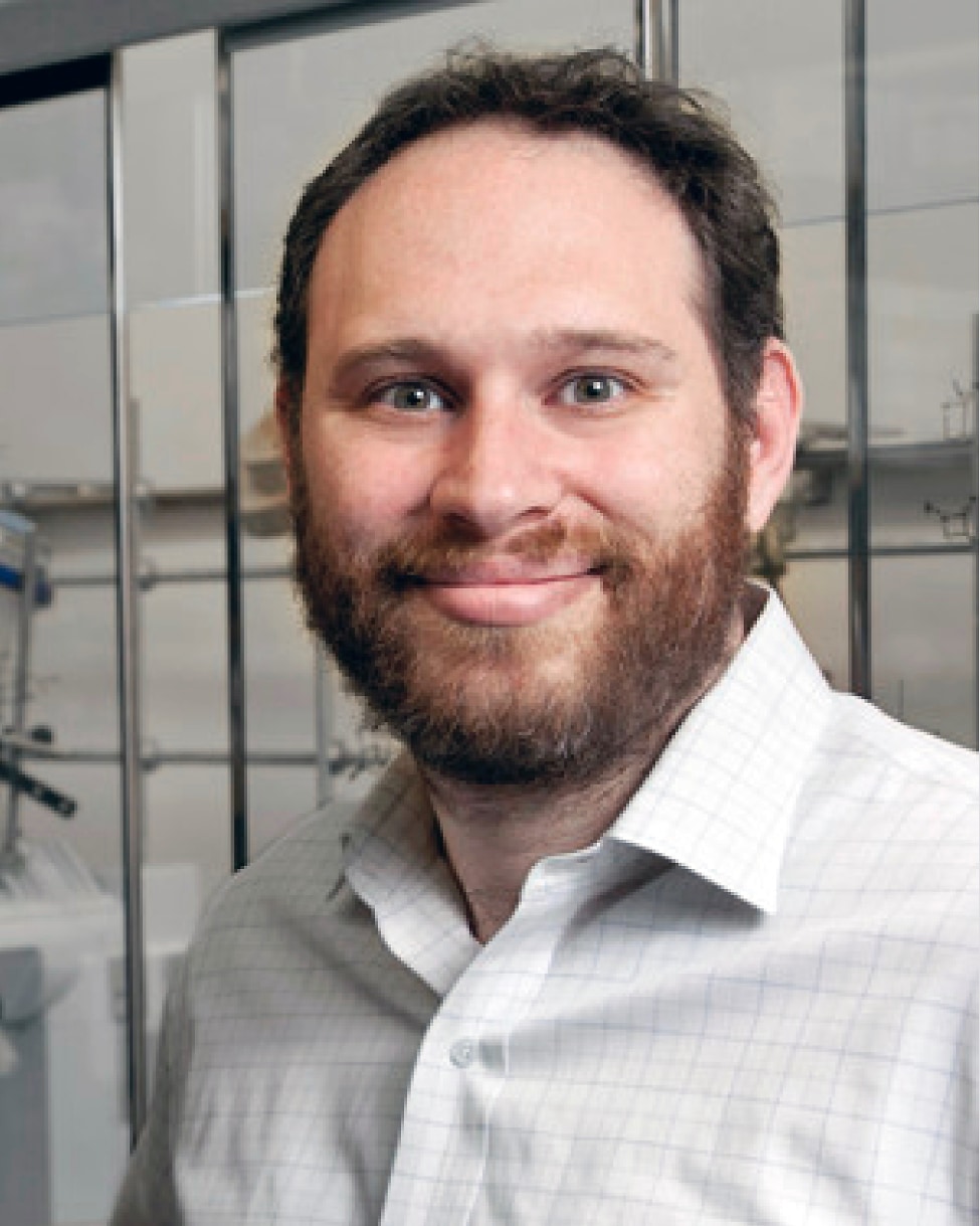 David Spiegel Yale School Of Medicine