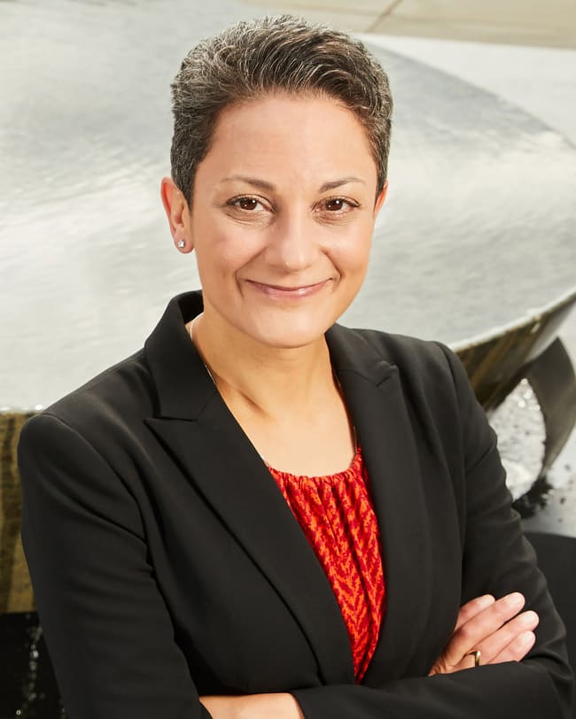 Vikki M Abrahams, PhD