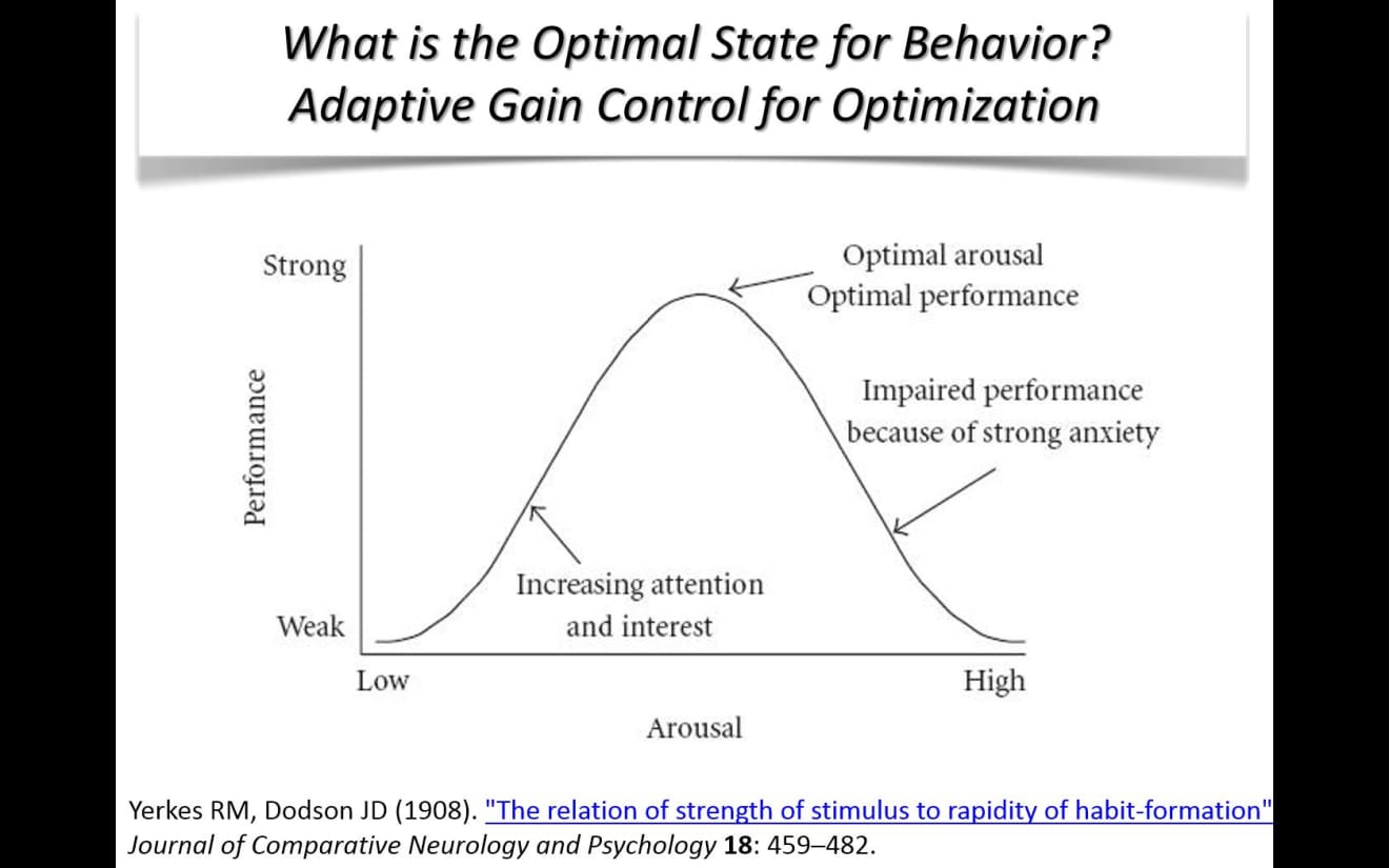 About, Adaptive State Performance